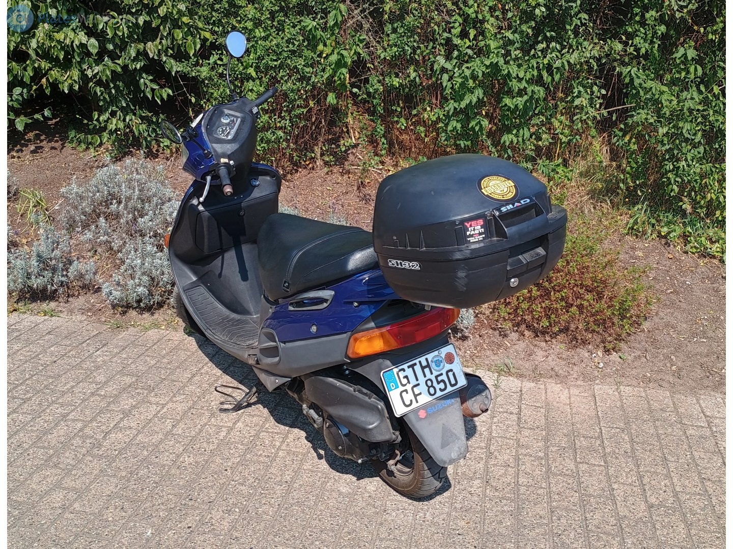 GTH CF 850, Suzuki Vecstar 