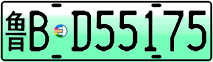 License plate of China, Electric vehicles