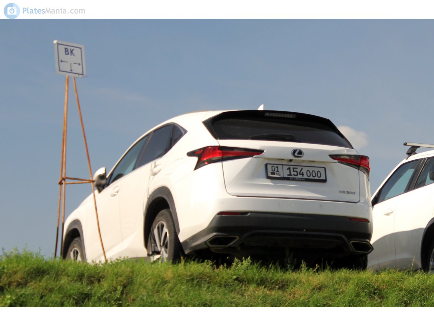 01 154 OOO, Lexus NX 1st gen (AZ10), facelift, 2017–2021