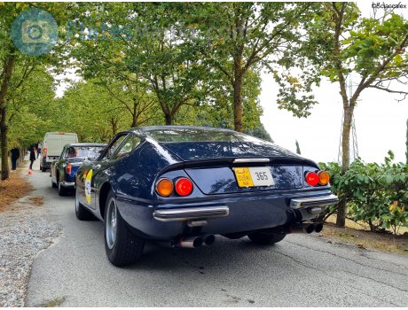365, Ferrari 365