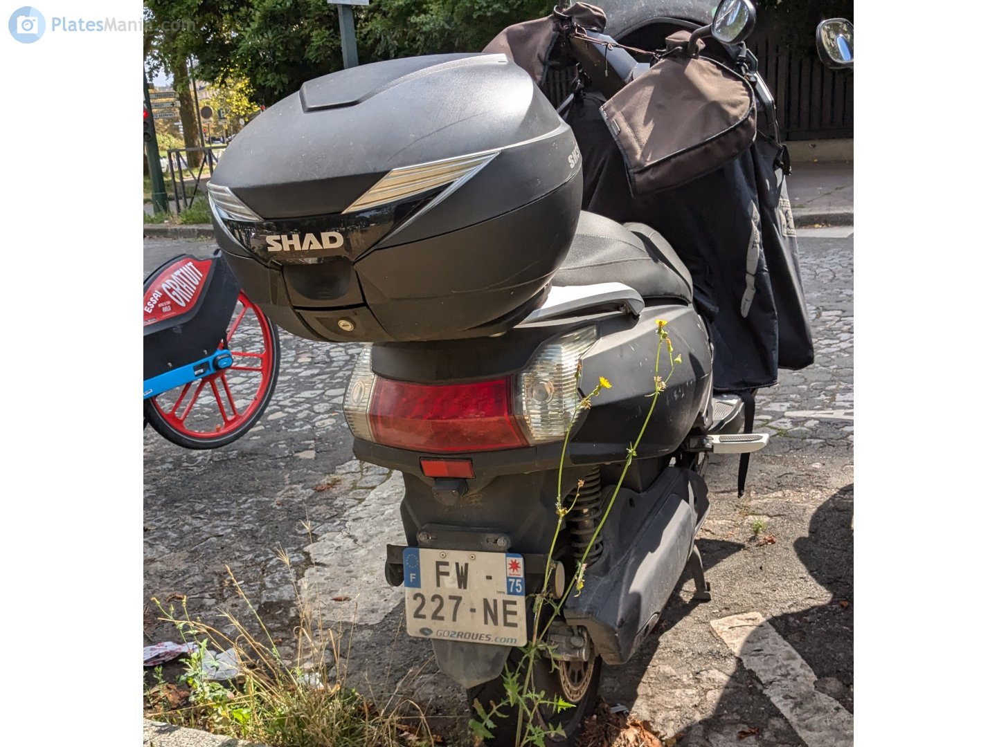 FW-227-NE, EFUN Pulse 