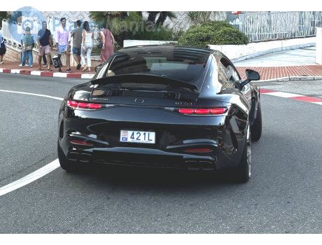 421L, Mercedes-Benz AMG GT