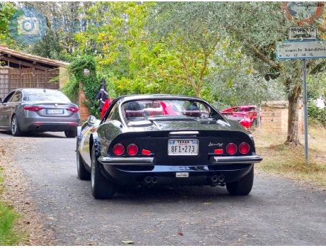 8F1-273, Dino 246 GTS