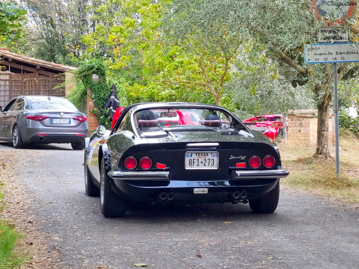 8F1-273, Dino 246 GTS 