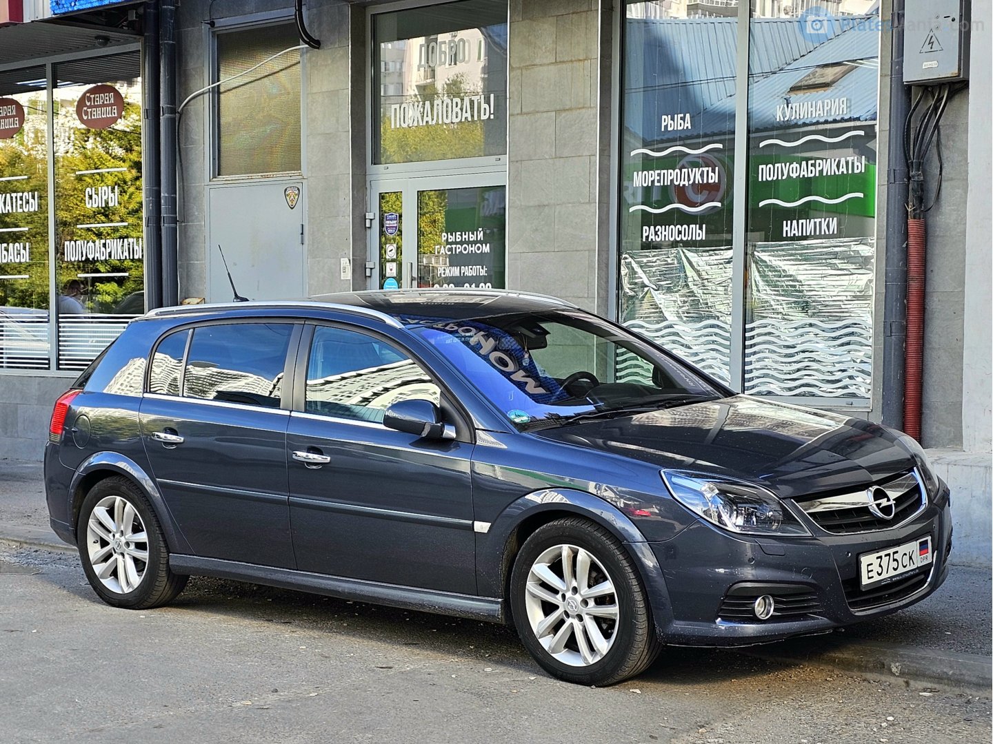 е 375 ск, Opel Signum 1st gen (Z03), facelift, 2005–2008