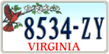 Virginia, Specialty plates (1234-AB)