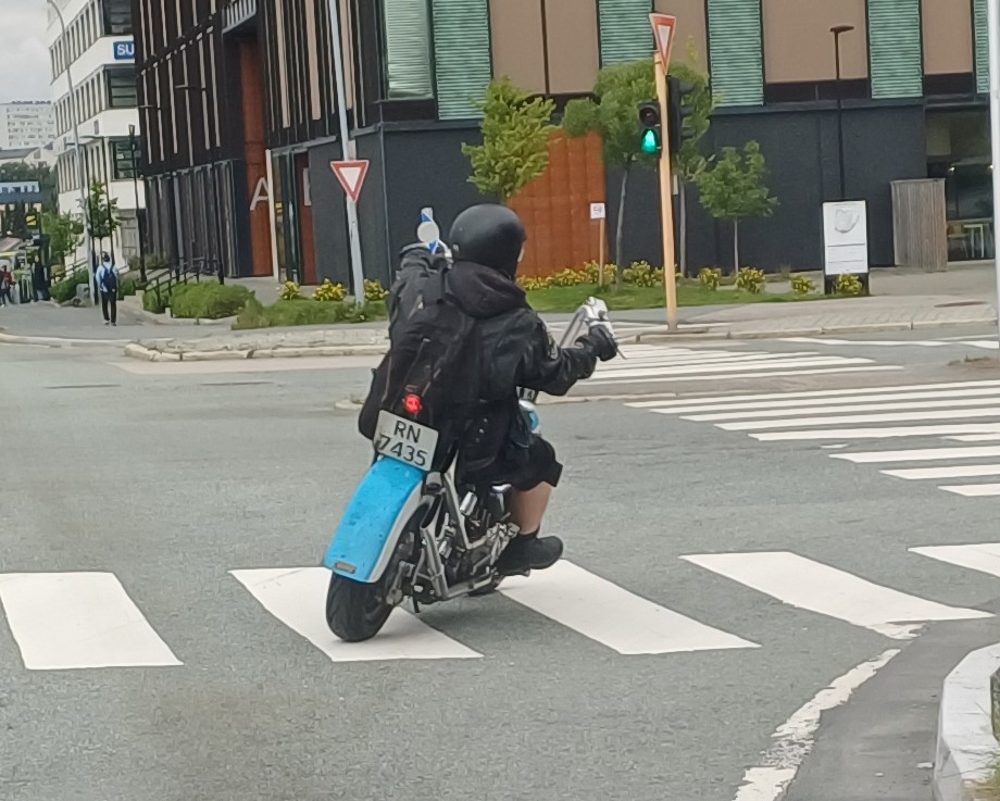 RN 7435, Harley-Davidson FL 