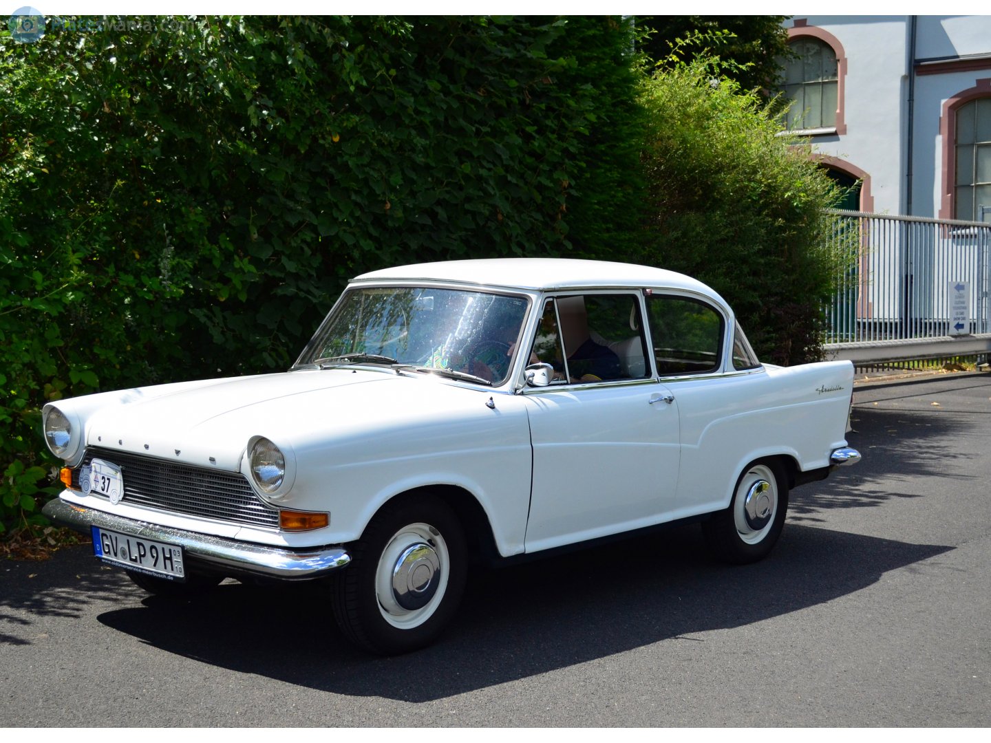 GV LP 9H (03/10), Lloyd Arabella 