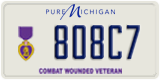 Michigan, Purple Heart (123A4)