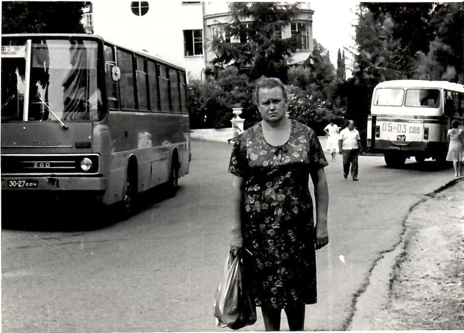 3027 СОЧ, Ikarus 260 