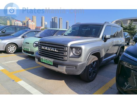 鲁B·FM2299, Haval Menglong