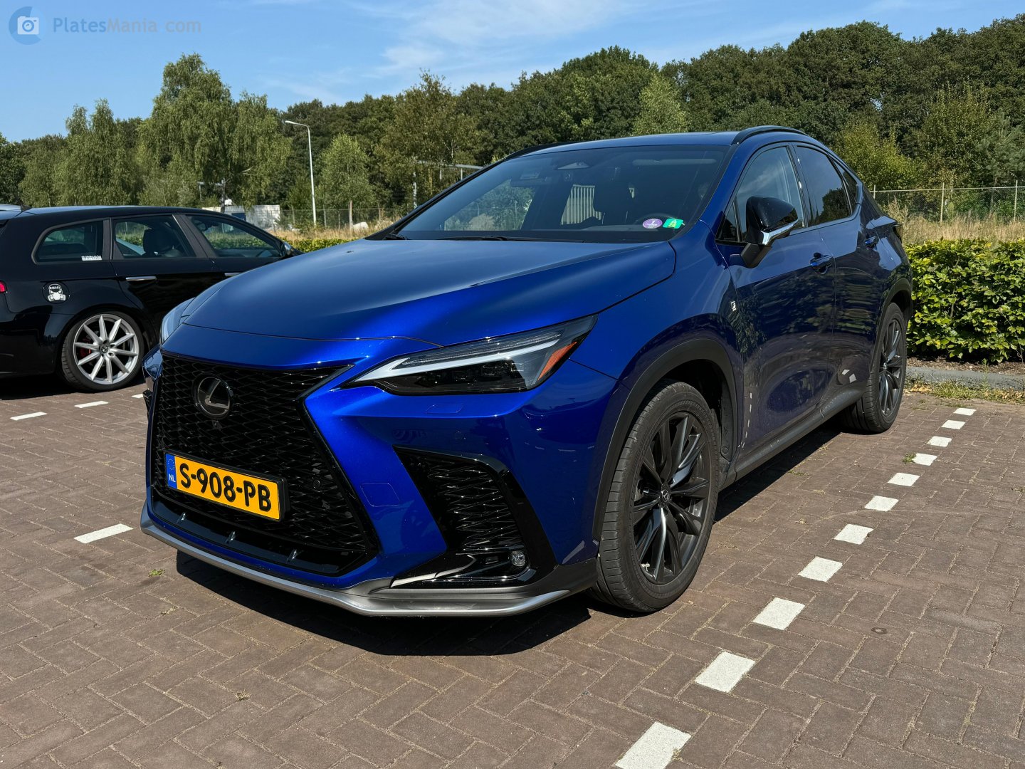 S-908-PB, Lexus NX 2nd gen (AZ20), 2021–