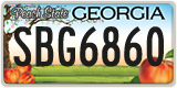 Georgia, ABC 1234