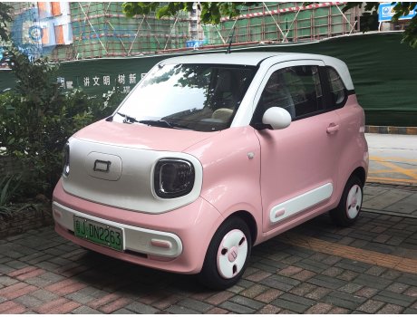 粤J·DN2263, Bestune (Besturn) Xiaoma/Pony