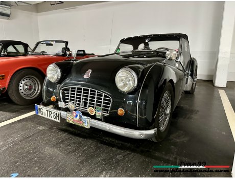 MG TR 8H, Triumph TR3