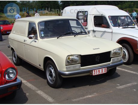 319-X-0, Peugeot 304