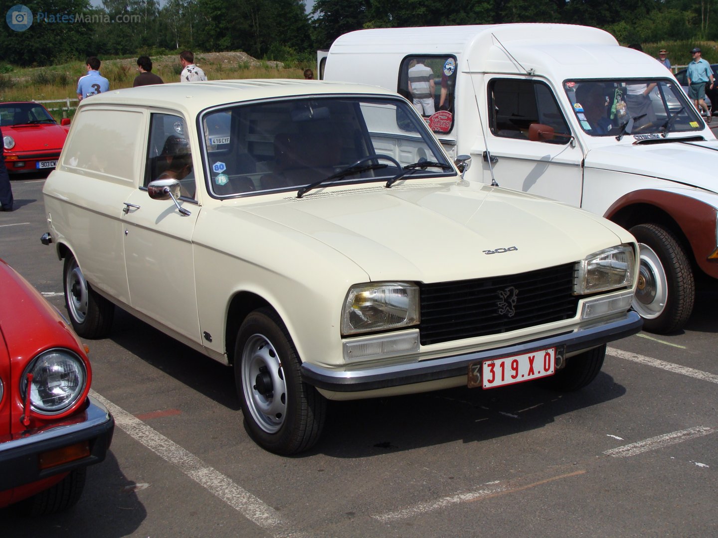 319-X-0, Peugeot 304 1st gen Fourgonnette (D), 1970–1980