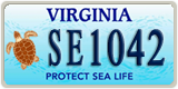 Virginia, Specialty plates (AB1234)