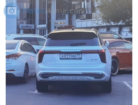 а017мм77, Hongqi E-HS9