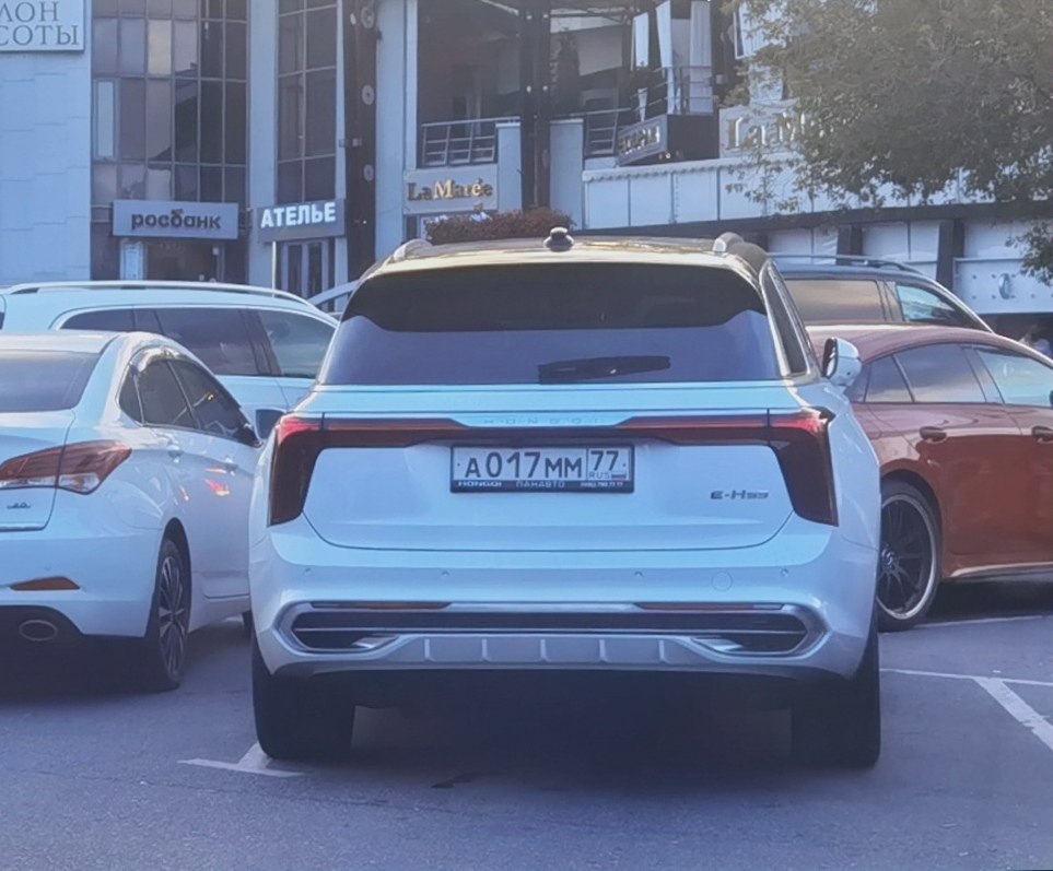 а 017 мм 77, Hongqi E-HS9 1st gen, 2020–