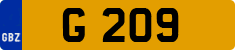 G 209