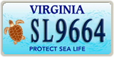 Virginia, Specialty plates (AB1234)