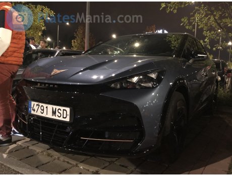 4791 MSD, Cupra Tavascan