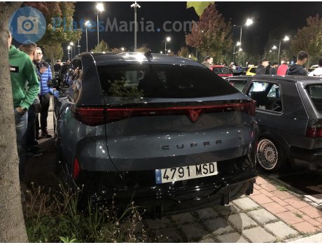 4791 MSD, Cupra Tavascan