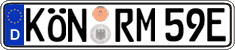 German license plate, Electric vehicles