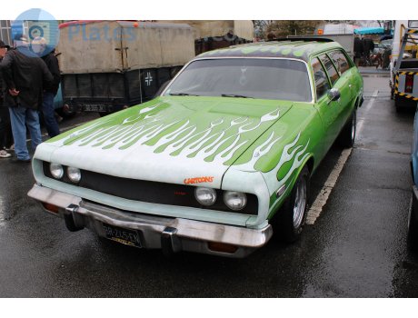 BR-245-EN, Dodge Coronet