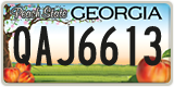 Georgia, ABC 1234