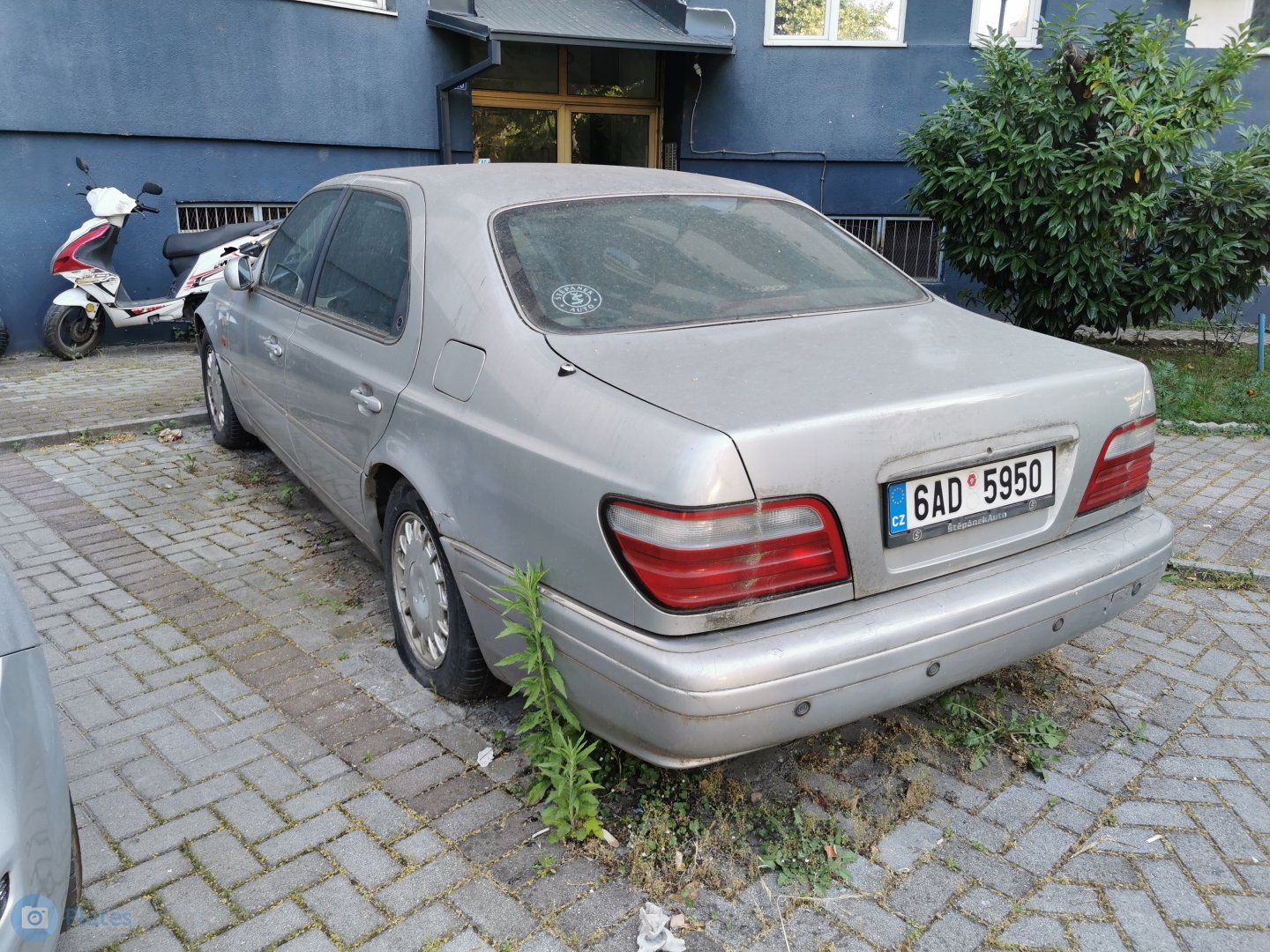 6AD 5950, Daewoo Chairman 1st gen (W100), 1999–2002