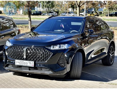 р400вв163, WEY 05 (Mocha/Coffee 01)