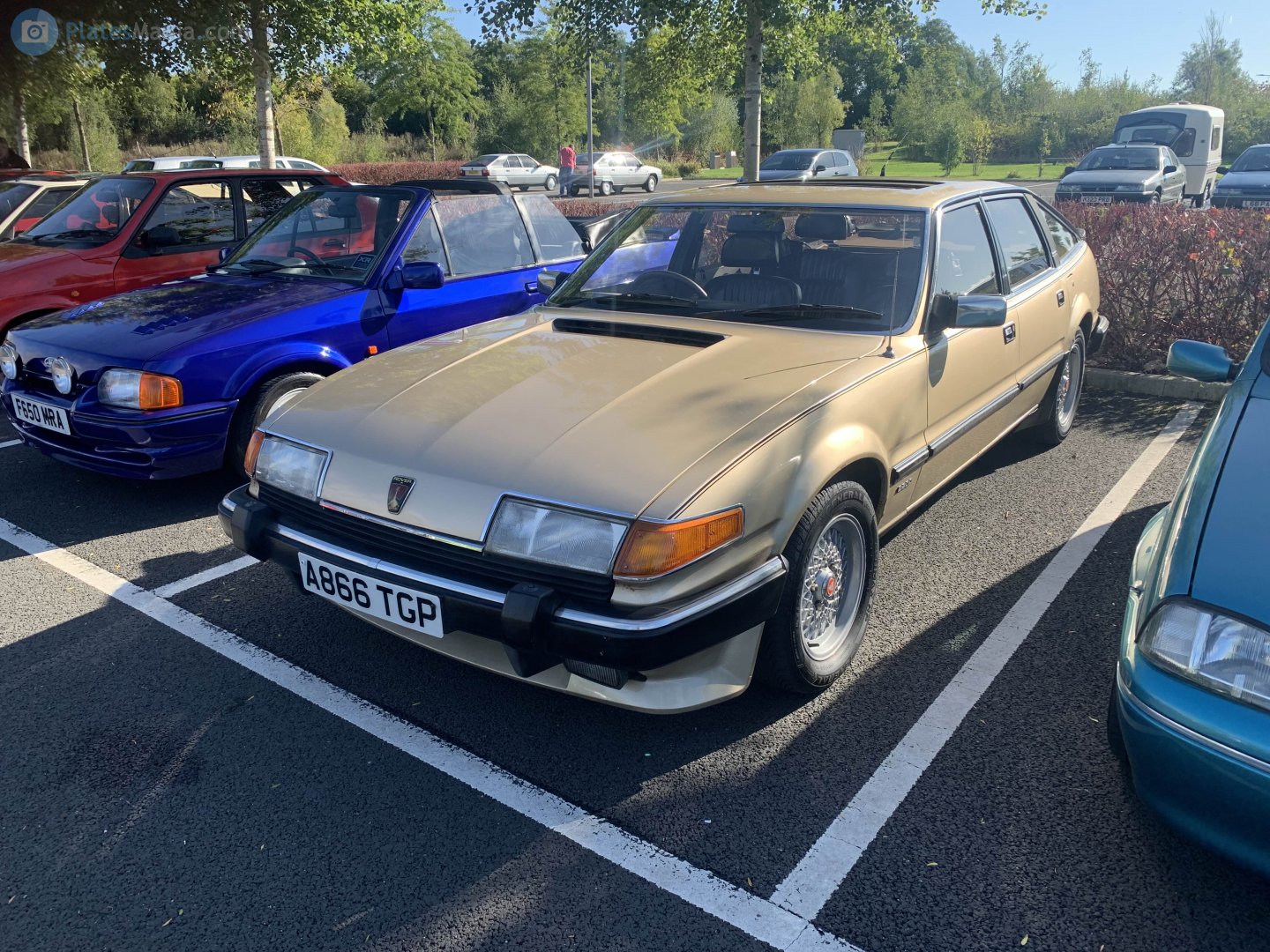 A866TGP, Rover SD1 