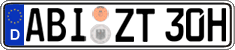 German license plate, Plates for oldtimers (type 