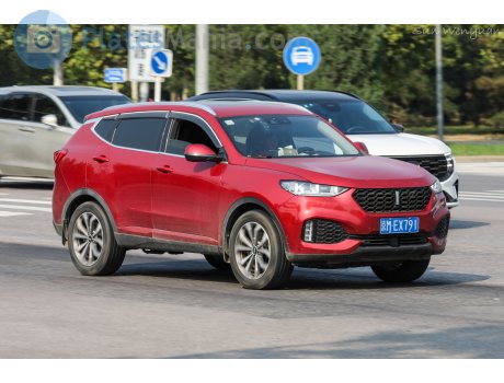 京M·EX791, WEY VV6