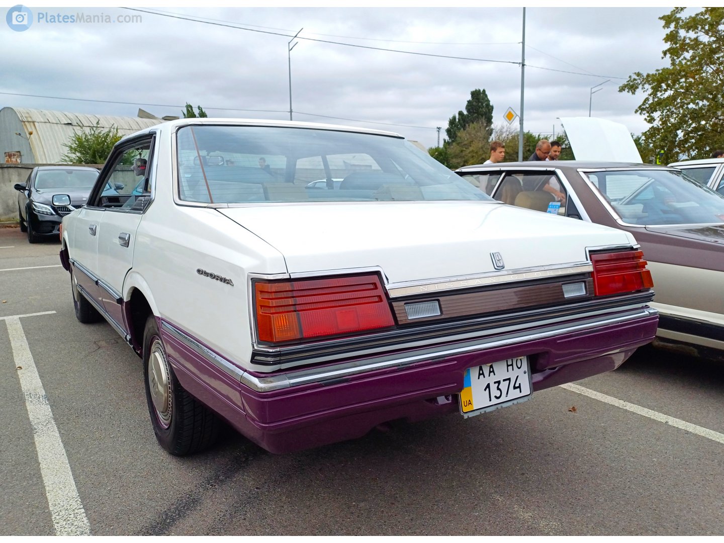 AA 1374 HO, Nissan Gloria 6th gen Hardtop (430), 1979–1983