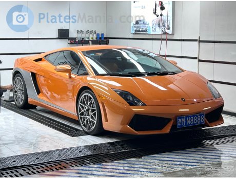 津M·N8888, Lamborghini Gallardo