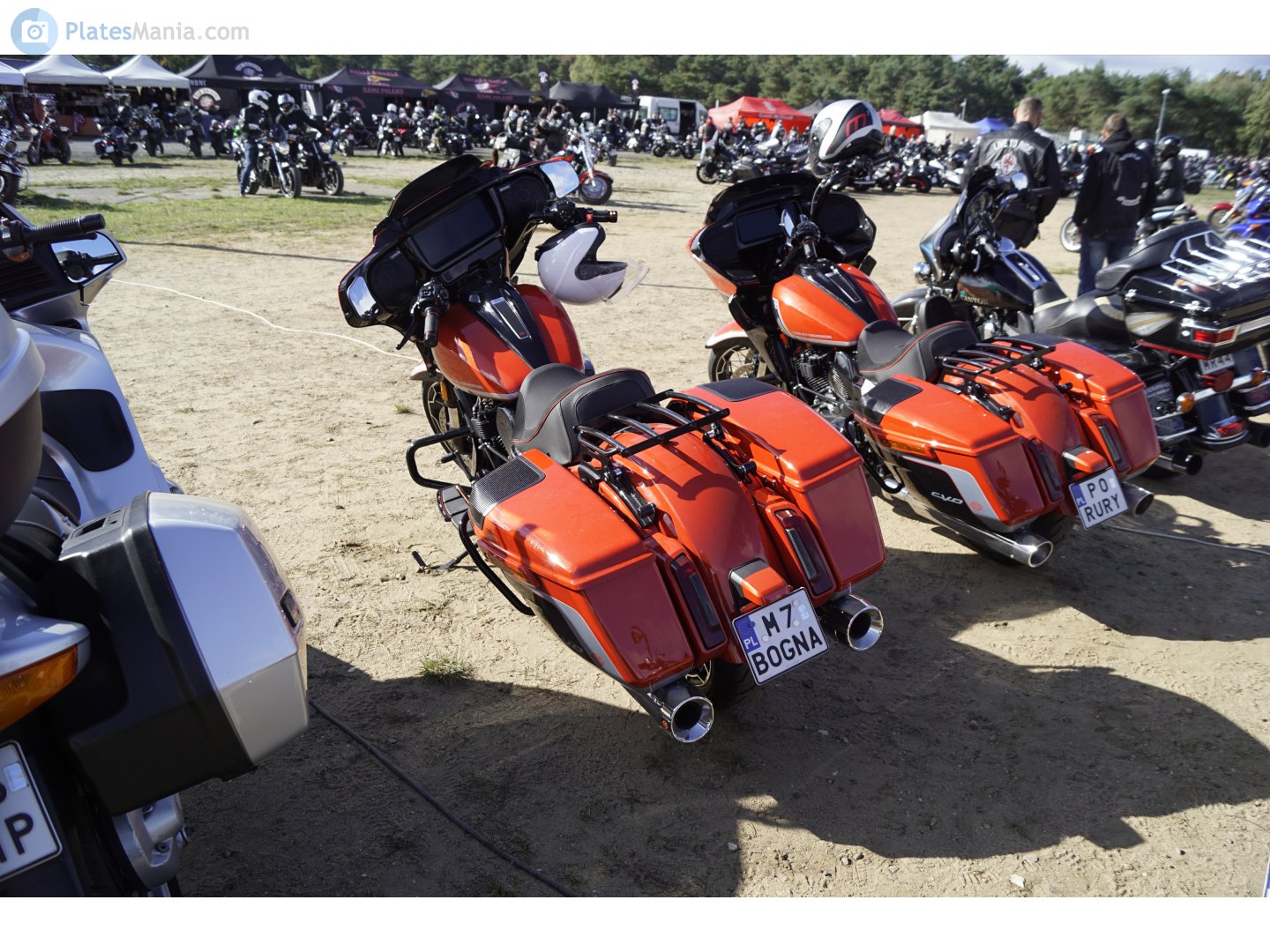 M7 BOGNA, Harley-Davidson FL 