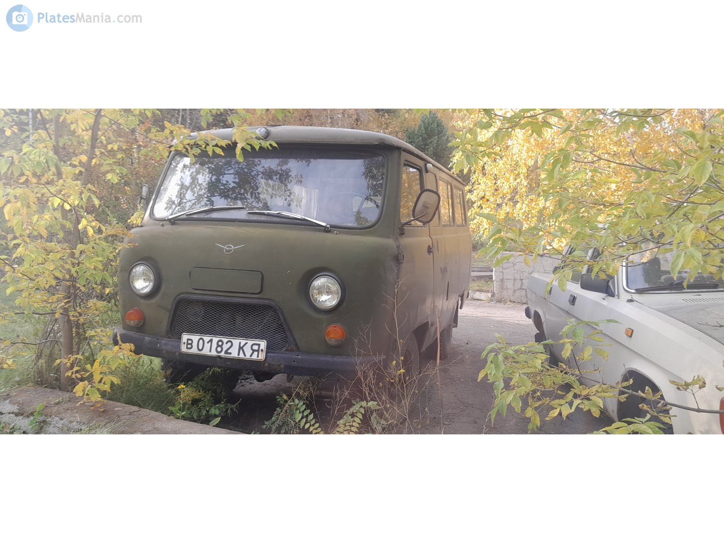 в 0182 КЯ, UAZ 452 452А/3962/3741 Glassed Van, 1965–