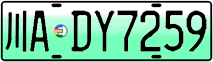 License plate of China, Electric vehicles