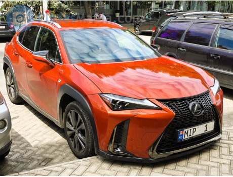 MIP 1, Lexus UX