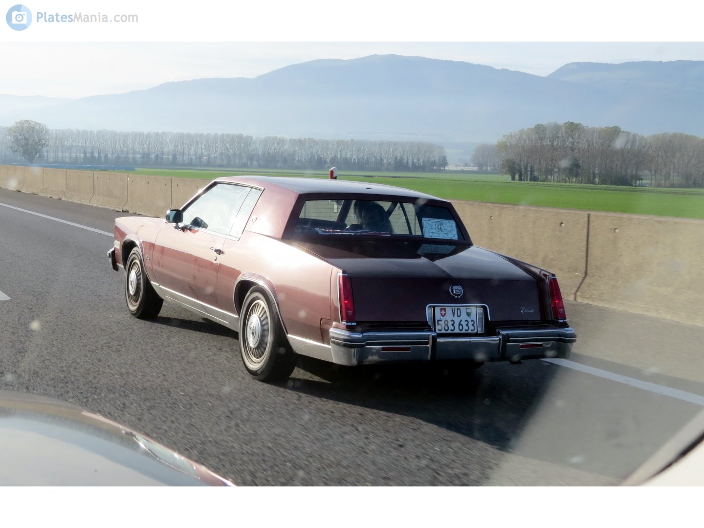 VD 583633, Cadillac Eldorado 10th gen Coupé (L57; E-body), 1978–1985