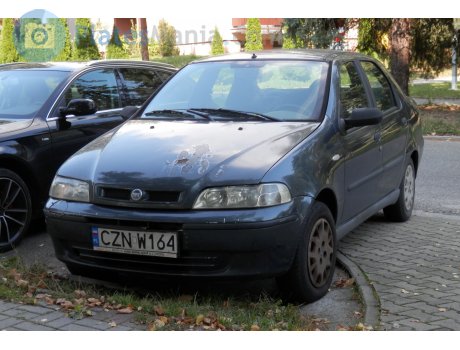 CZN W164, FIAT Albea