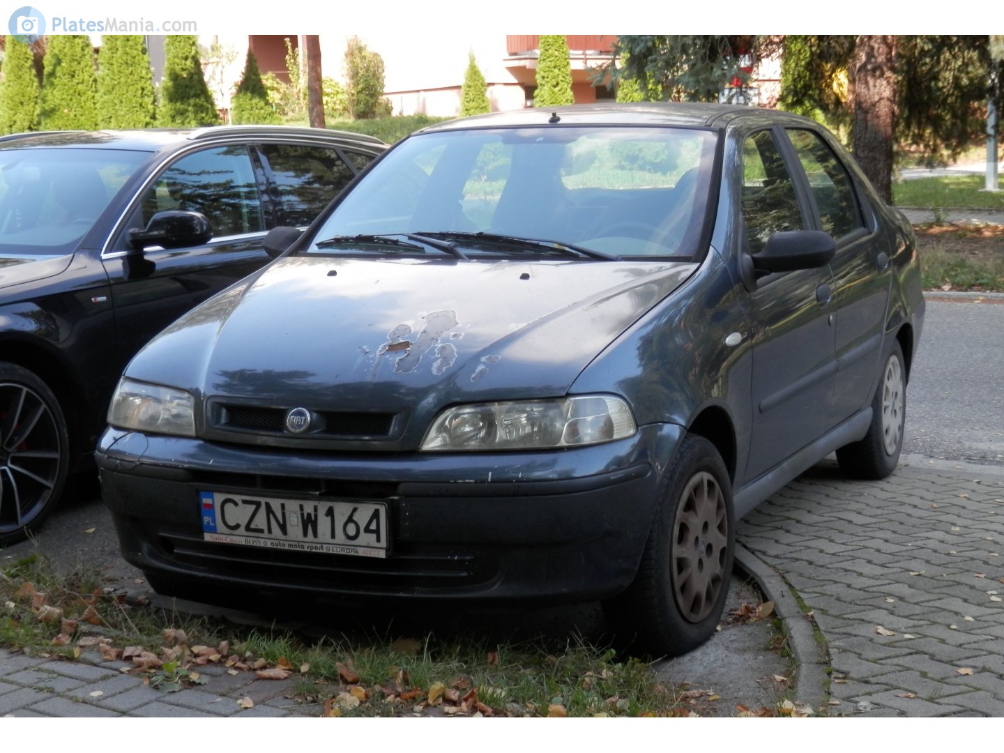 CZN W164, FIAT Albea 1st gen (178), 2002–2005