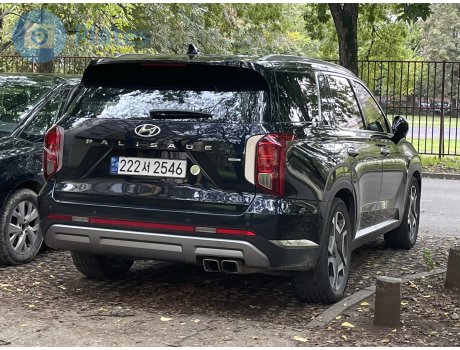 222서 2546, Hyundai Palisade