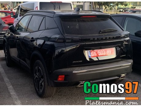 GY-503-MV (01/25), Peugeot 2008