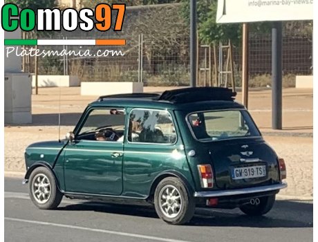GW-919-TS, Rover Mini