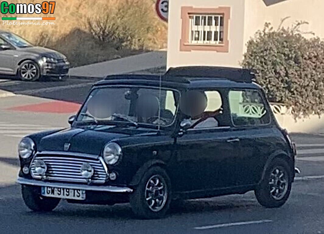 GW-919-TS, Rover Mini 