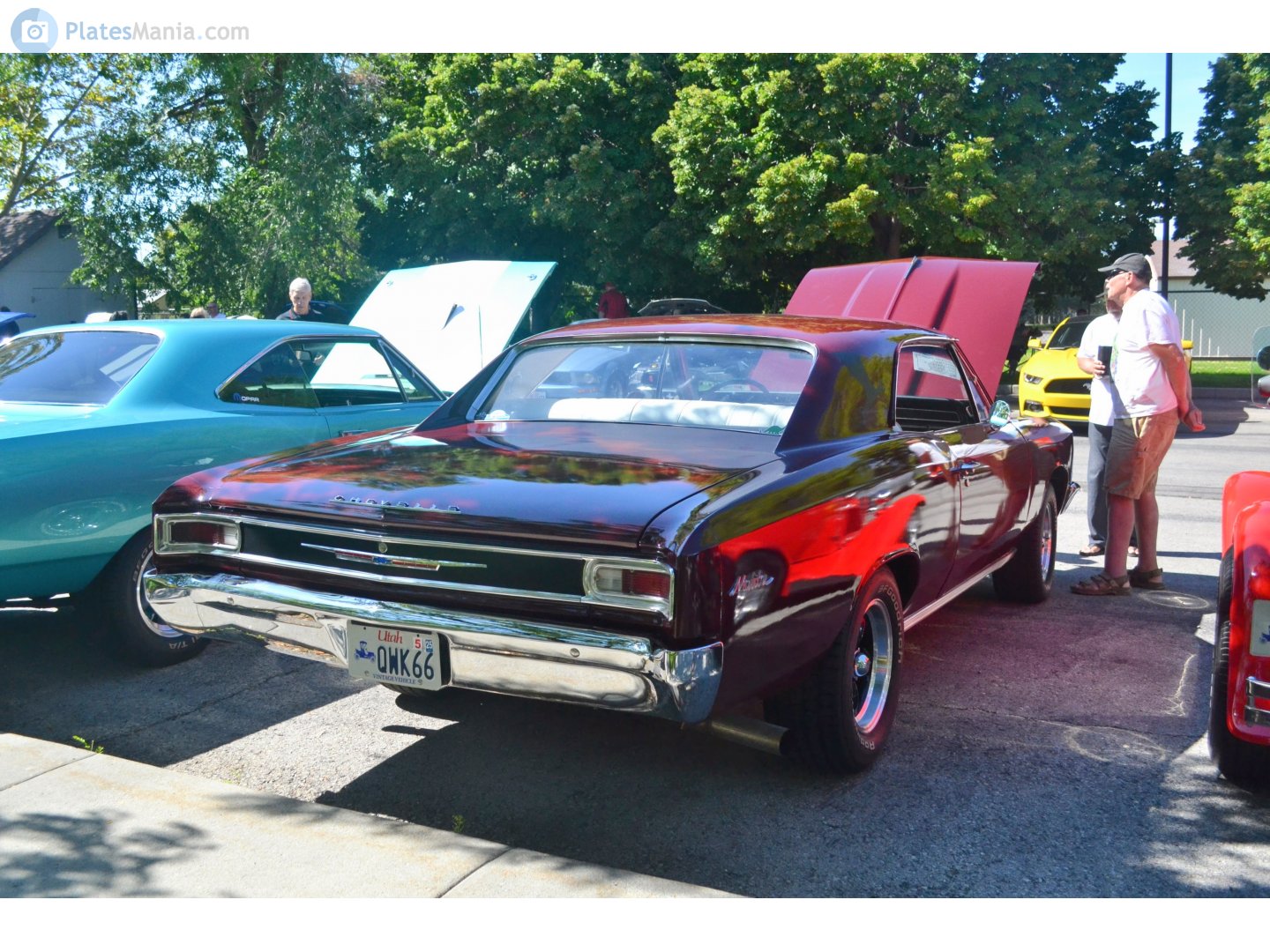QWK66, Chevrolet Chevelle 1st gen 1966 2-door Sedan (11; A-body), 2nd facelift, 1965–1966